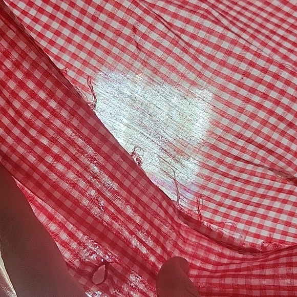 Vintage Gingham Dress - Picture 10 of 13